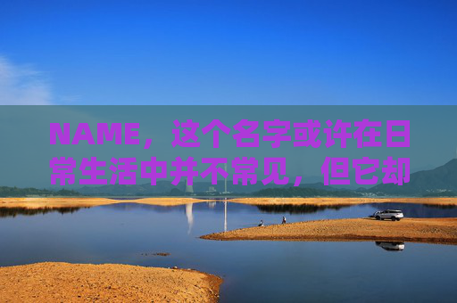 NAME，这个名字或许在日常生活中并不常见，但它却在某些领域里扮演着重要的角色。今天，让我们一起来探索这个名字背后的故事和意义